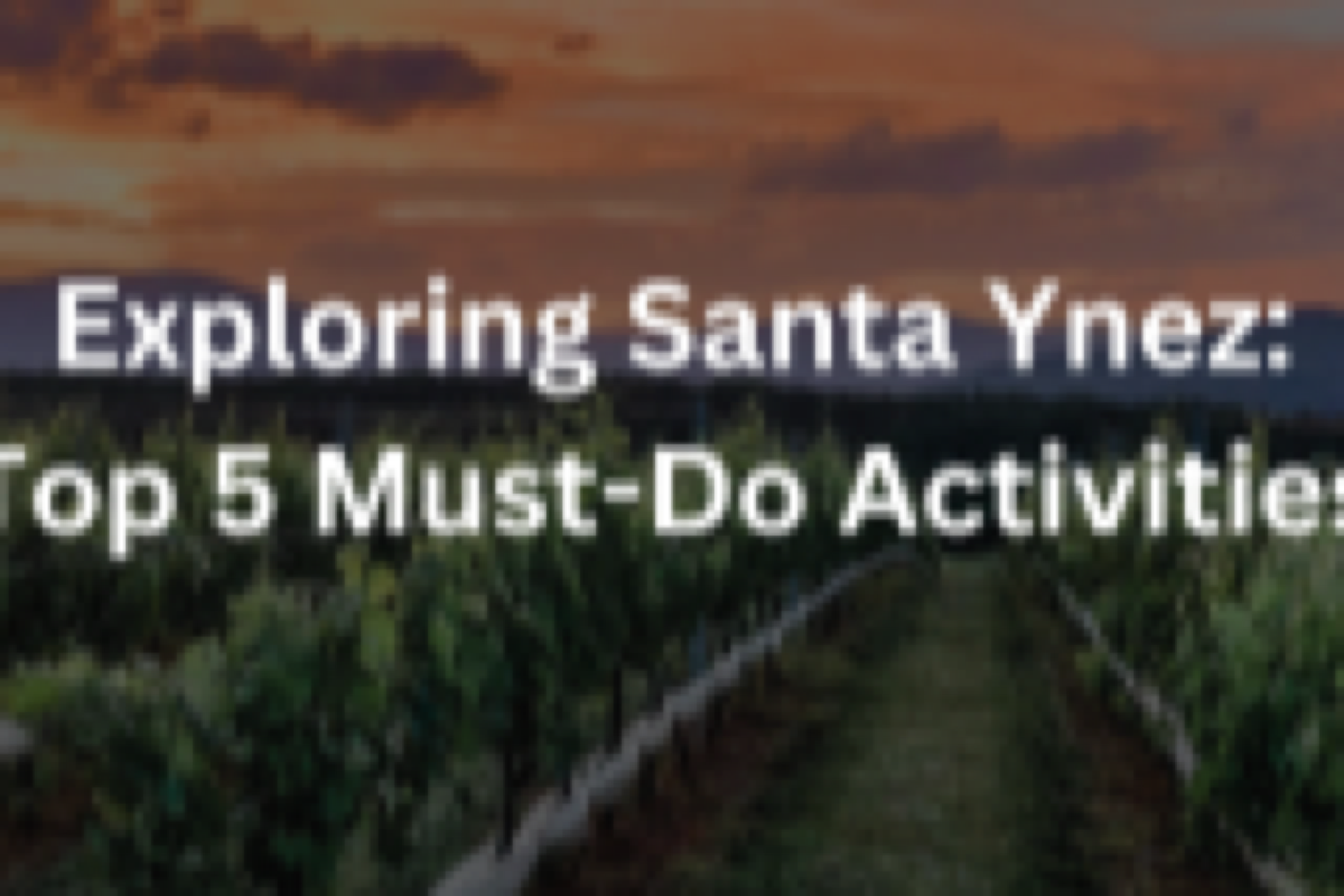 santa-ynez-wine-country Exploring Santa Ynez: Top 5 Must-Do Activities